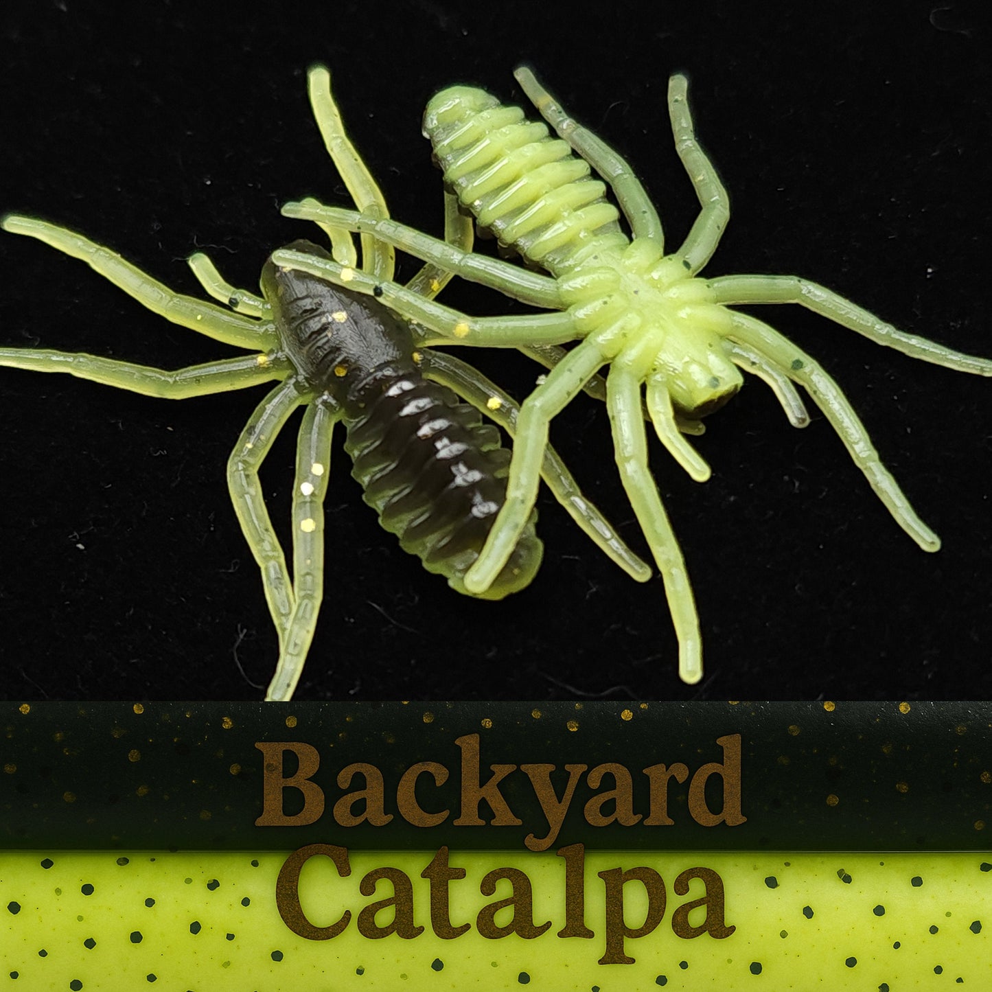 Jar of 1" Micro Spider Bait "The Writing Spider"