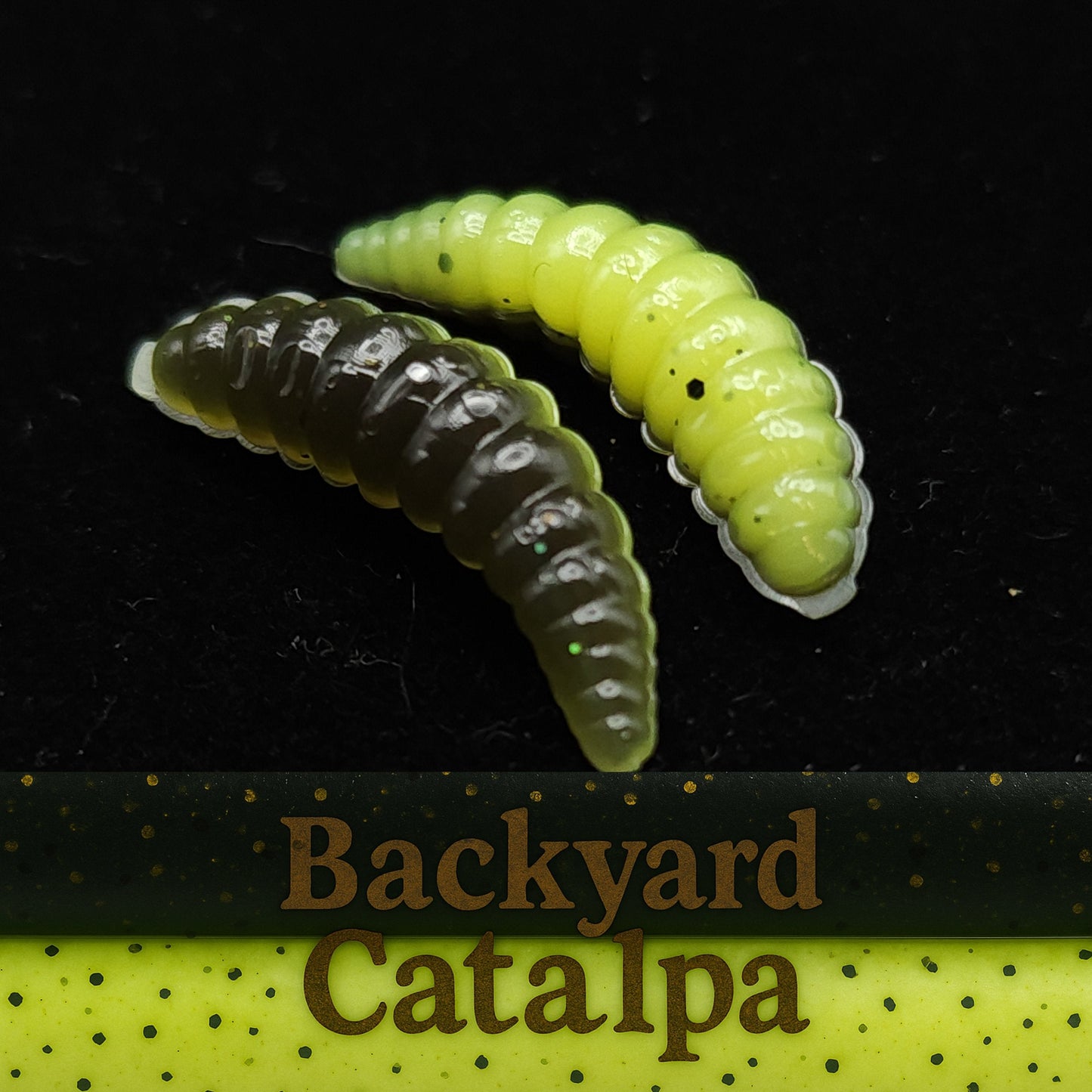 1" Waxworm "The Tater Bug"