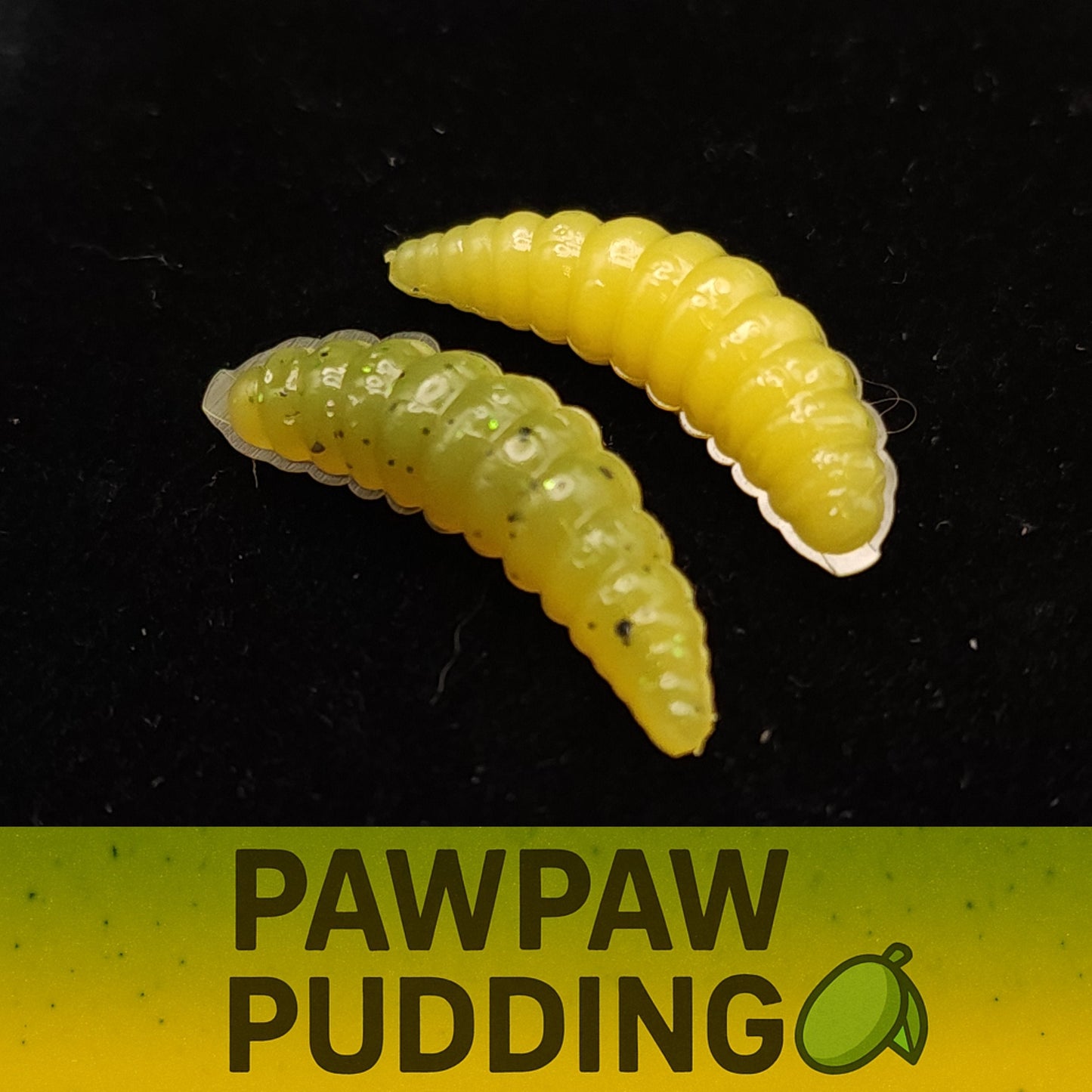 1" Waxworm "The Tater Bug"