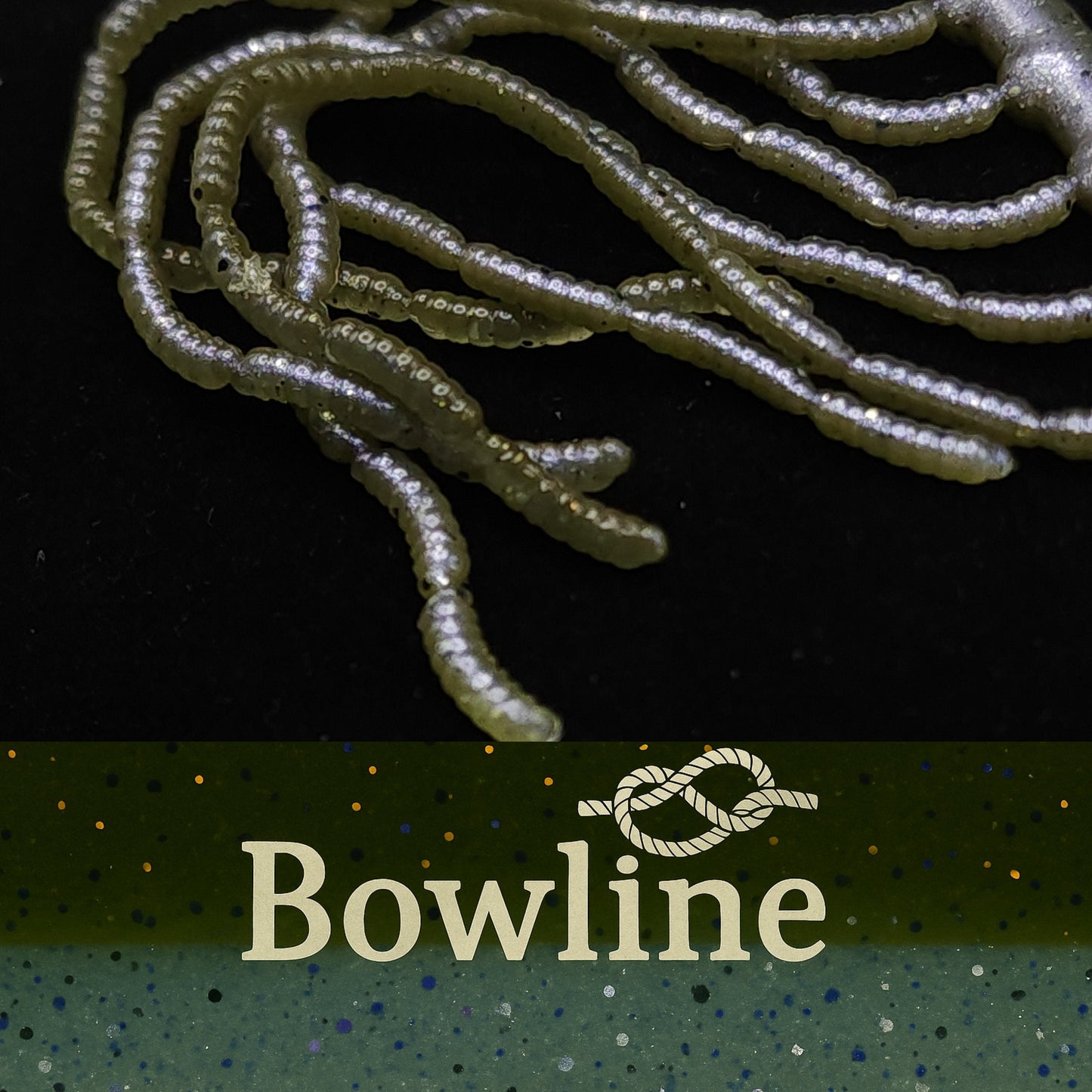0.5" Inch Maggot Larvae "The Apple Maggot"
