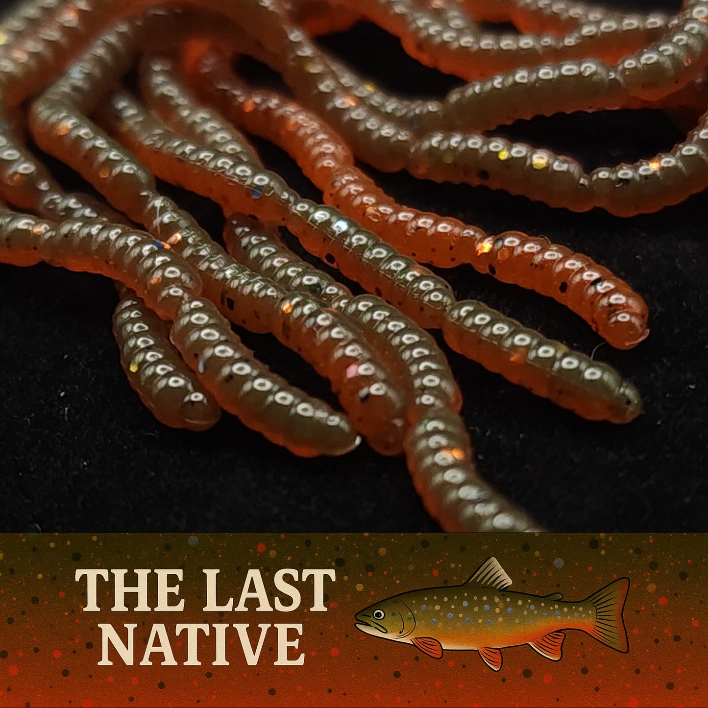 0.5" Inch Maggot Larvae "The Apple Maggot"