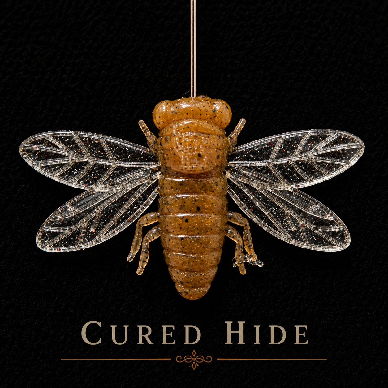 The Jarfly 1.5"x 2" |  1/8 oz | Floating Cicada | 3 Per Pack
