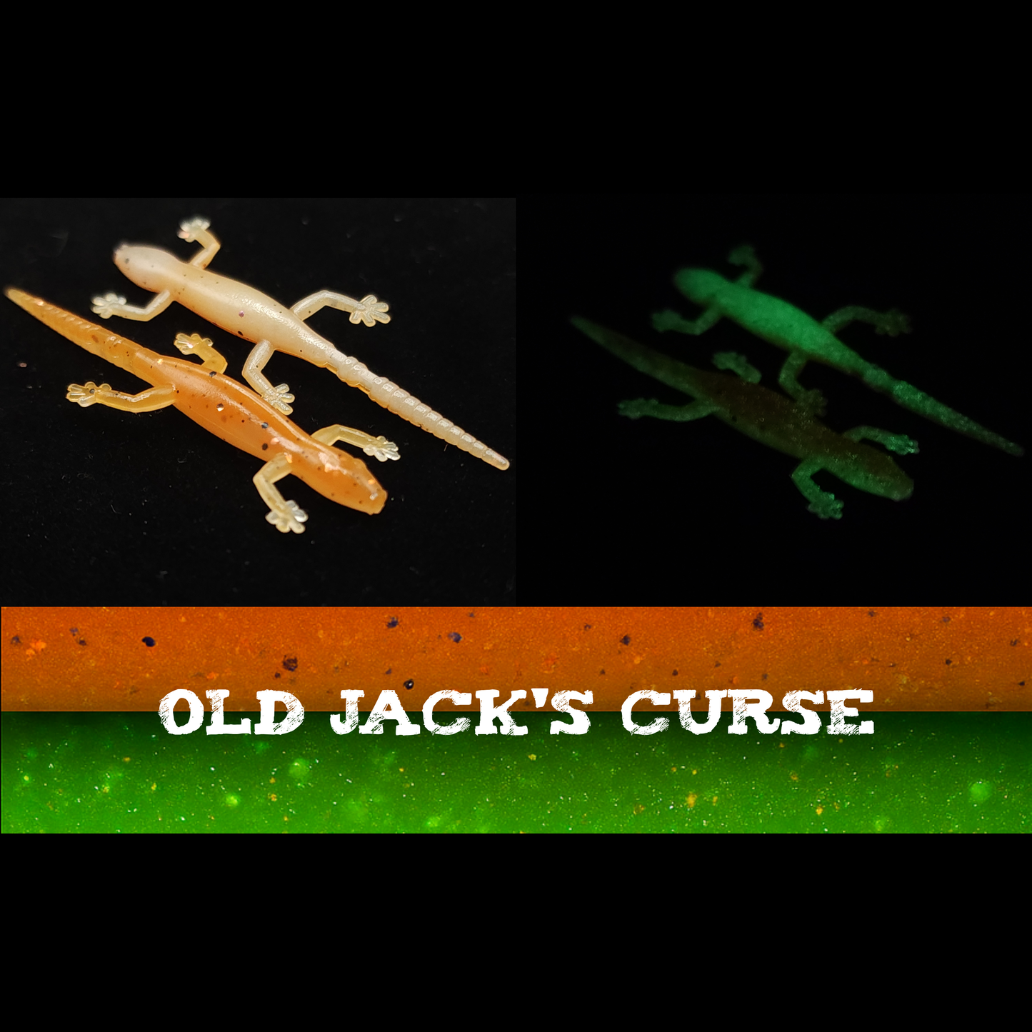 Jar of 2" Salamander "The Moss Dweller"